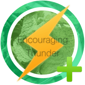 encouraging-thunder-e1427793461525