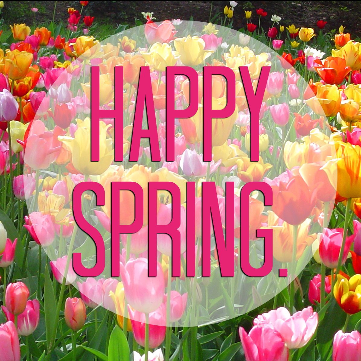 Happy Spring – A Thomas Point of View