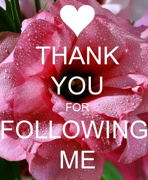 43090-Thank-You-For-Following-Me