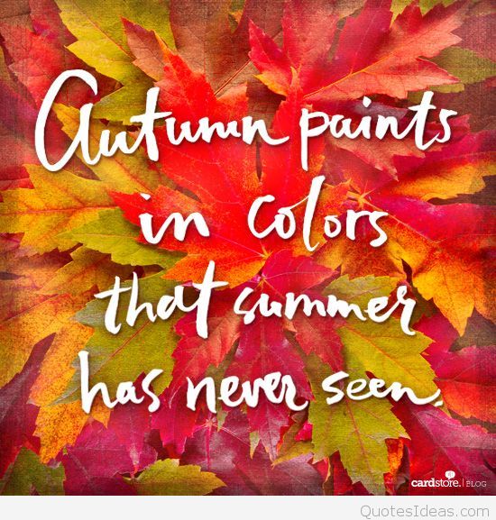 d7bd5ca1058abbda9e974ac6acebe68b