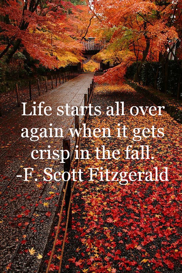 Fall2BQuote-1