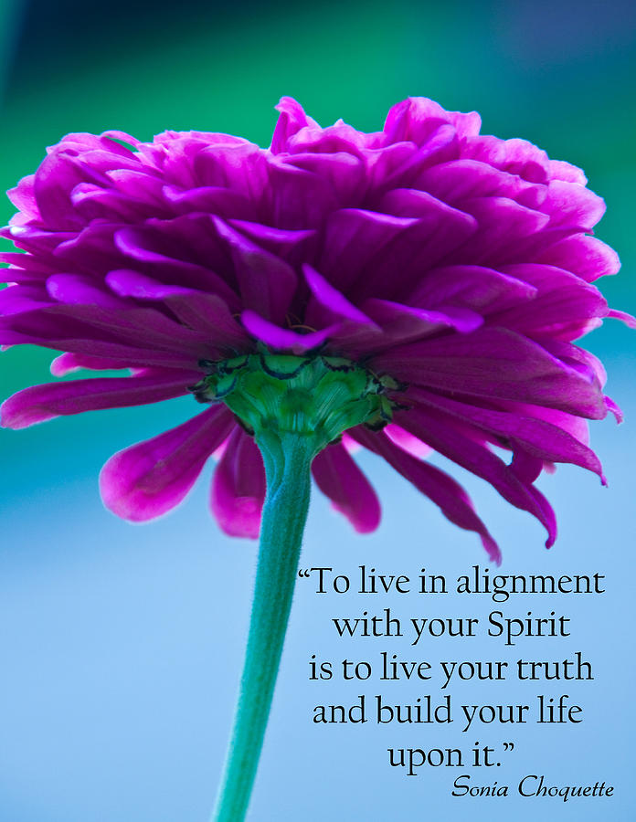 live-your-truth-dana-kern