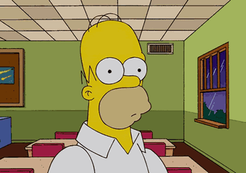 Homer-Blank Stare