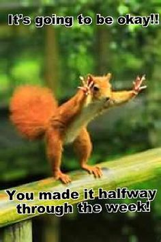 8dcbd08fba45be4f118d6c3b3dbe8ff9