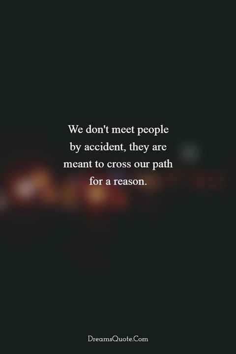 e09d8564cb1977783f38b9949498ce7f